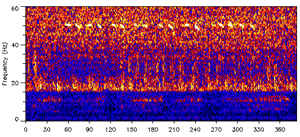 Signal of the 52-hertz whale
