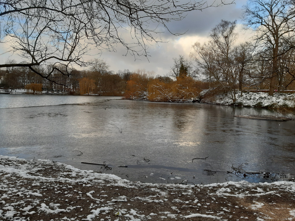 A view in the park, showing ice building on the pond. Some snow is on the ground, the whole image creates a sense of bleak winter.

Illustration for the progress report.