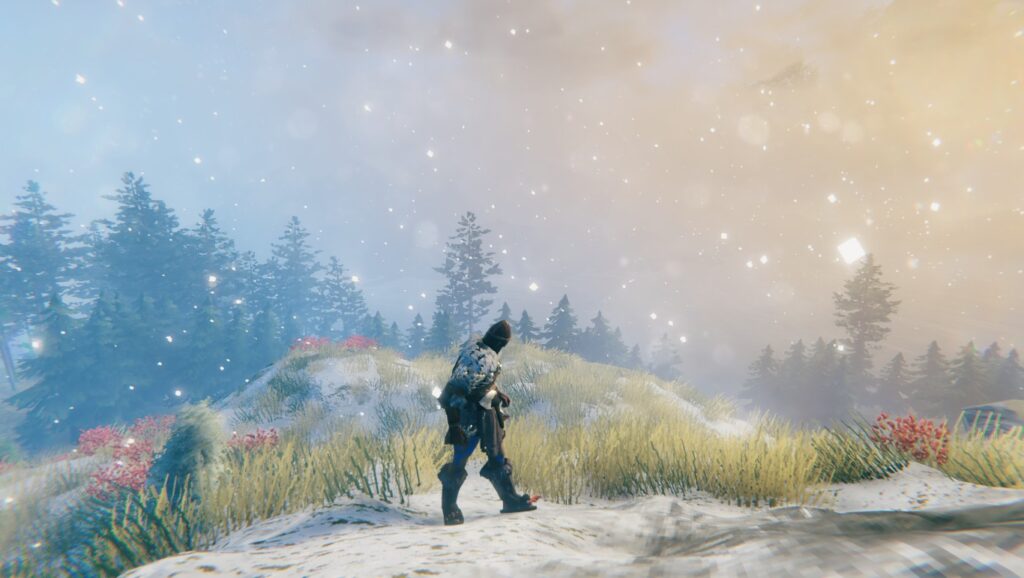 Screenshot from the game Valheim, Char looking into a landscape, standing in light snowfall.